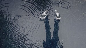 What Are Mules Shoes