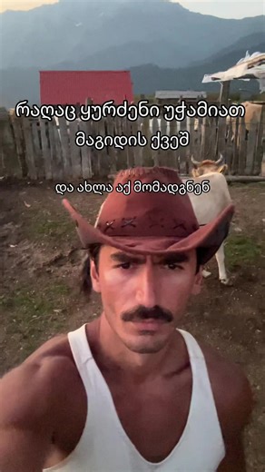 escanor_on_earth (@escanor_on_earth)’s videos with Endless Summer (Video Version) - Oceana