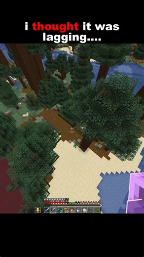 I thought it was lagging #minecraft #minecraftmemes #minecraftbuilds #minecraftpe #minecraftmods | Doom Block