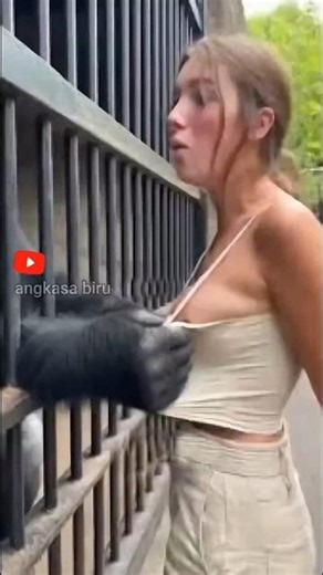 The Moment Wild Instincts Kick In! 😱 Never Do This! #wildanimals #zoo #shortsviral