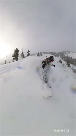 Deep Powder Day in Utah. 2 Feet! #snowboarding #powder #powday