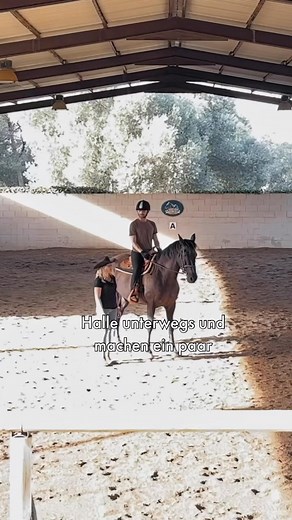 26 reactions | ✨ new error analysis ✨ . Display Do you still remember Ares & Chris on the lunge In the new teaching video, both take you with a unit with a focus on transitions! . As a lifetime member you have lifelong access ---------------- https://amzn.to/4qvpbee | Me & Warthog | Facebook