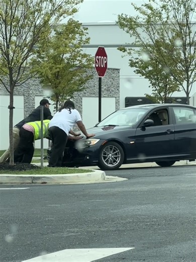 Who wrote the customer service training manuals at #Chick-fil-a ? I gotta know! #Service