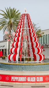 Your Holiday Food & Drink Guide to Westfield UTC 🎄✨ 📍 Westfield UTC | 4545 La Jolla Village Dr, San Diego, CA Spent a full day exploring @westfieldutc to see what’s new, festive, and delicious for the holidays — and here’s everything you need to check out. At the center of the holiday magic is Peppermint Beach Club, complete with Santa’s bungalow, photo ops, and cozy seasonal vibes. From there, the food crawl begins: 🥩 Gen Korean BBQ House (@genkoreanbbq) — The newest addition to UTC, serving