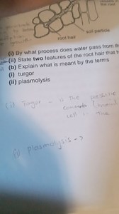 By what process does water pass from the soil into the root hai... | Filo