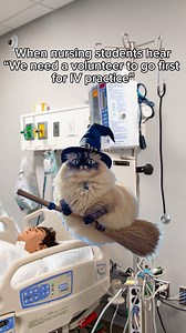 Any volunteers? 👋🩺 #ECPI #university #dentalassistant #dental #healthcare #nursing #nurse #students #nursingstudent | ECPI University