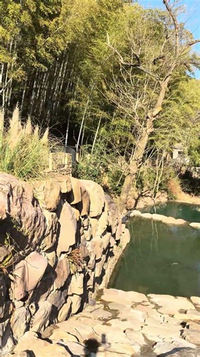 ASMR Hiking Across a Jade Bamboo Forest Creek #asmr #bambooforest #hiking #chinatravel
