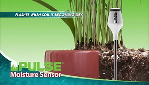 PLANT-MS-CAT Plant Pulse L.E.D. Plant Moisture Sensor, White