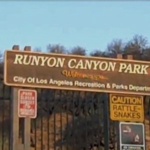 41K views · 122 reactions | Throw Back Thursday! Levrone Report | Kevin Levrone | Facebook