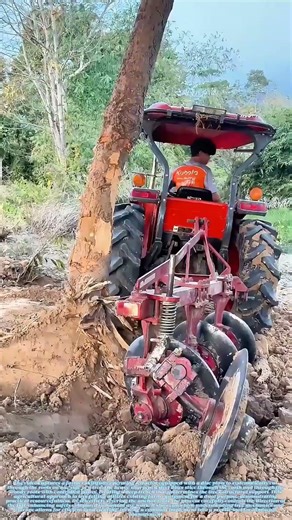 Severing Roots: The Disc Plow's Method for Tree Removal #shorts