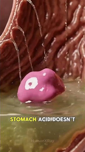 what happen if you shallow gum ?(side your body) #shots