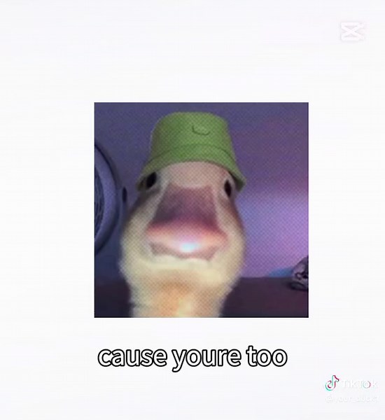 Duck in Green Hat Shares Humorous Farewell Story