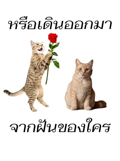 เสียดายของ - เพลงเศร้าจาก Basher