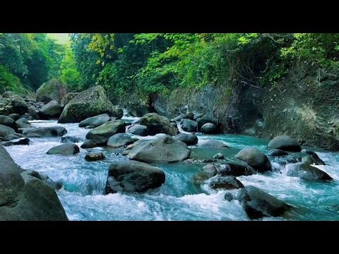 Soothing River Water Flow with Gentle Stream Sounds for Sleep, Meditation, Yoga & Stress Relief