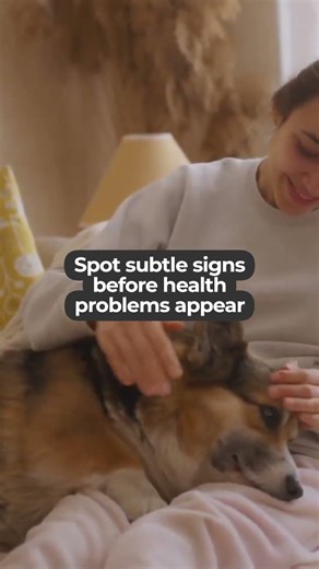 Detecting Hidden Health Signs in Dogs