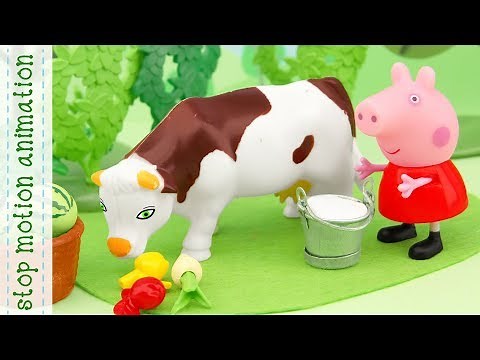 Peppa Pig's cow Peppa Pig toys stop motion animation