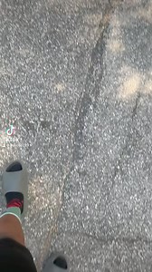 Poo so funny 😂😂😂 | Tray'shawn Parker