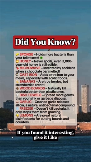 10 Surprising Kitchen Facts You Didn’t Know! #kitchenhacks #lifehacks #fblifestyle #facts | Time Facts