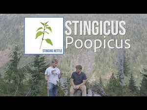 How to Poop in the Woods - Natures Toilet Paper and Poop Etiquette
