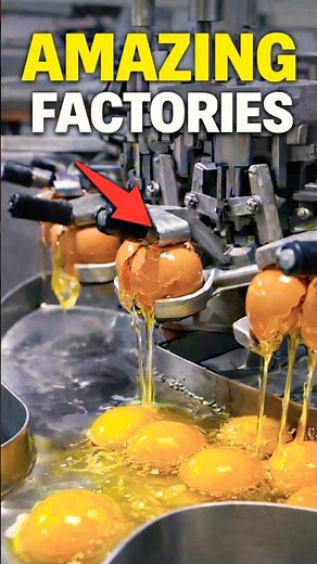 These Factory Machines Are Insane! 🔥 #factory #tech