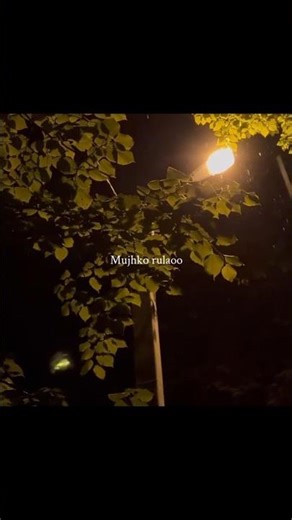 Toh phir aaooo | Aesthetic Lyrics Status | #shots​ #lyricssong​ #explore​ #vibe​