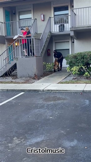 Fake dog bark prank 😂😂😂 he thru the donuts 😂😂 #foryou