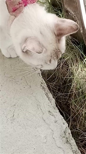 What are you playing with?