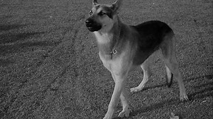 The.Soul.Of.A.Monster.1944.720p.BluRay.x264.AAC-[YTS.MX].mp4
