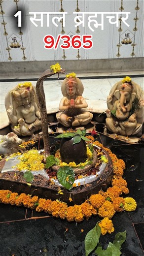 1 साल ब्रह्मचर#shorts#viral#trending#like