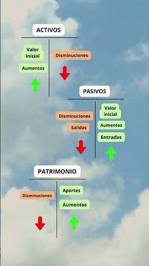 Cual es la Naturaleza de las Cuentas Contables?