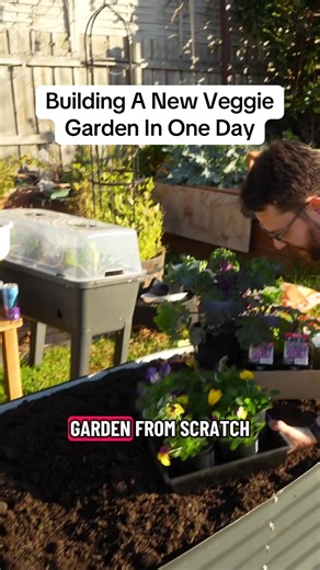 The right way to start a veggie garden from scratch