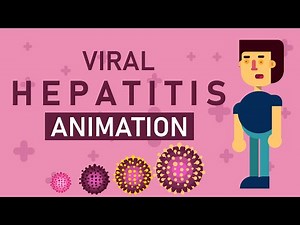 Viral Hepatitis | Hepatitis (A,B,C,D,E) transmission, treatment, Diagnosis and prevention