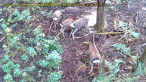 師匠の罠 | Middle Flat Lab