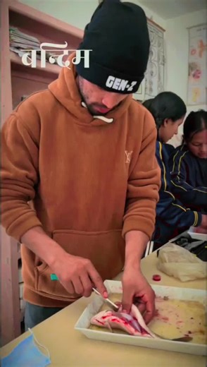 Fish Dissection Practical for Class 10 and 11 Students