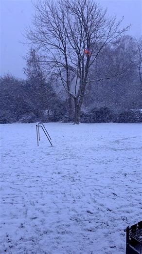 حمصيه وافتخر🇩🇪 (@zan.160)’s videos with الصوت الأصلي - kose crypto