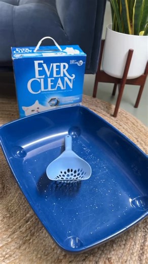 Did you know that 70% of cats refuse to use a dirty litter box? We can’t blame them! | Ever Clean UK