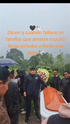 El nuevo comienzo tras la pérdida: Ailany Daleyza