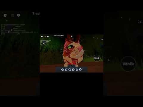 MY REVIEW ON TRADING SERVER [quiet voice]