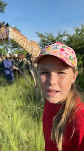 40K views · 1.9K reactions | It's giraffe relocation day - let me show you how calm this wild youngster is, ready to be loaded onto a truck! 漣 #reels #animals #interestingfacts | Brooke.Carter | Facebook