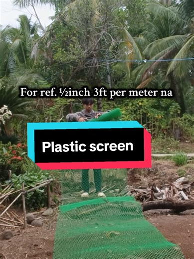 Using Plastic Greenscreens for Chickens