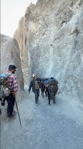 Tilicho Trail, on the way to Tilicho Base Camp 🇳🇵🏔️ #shortvideo #horse #travel #shorts #reels ✌🏻