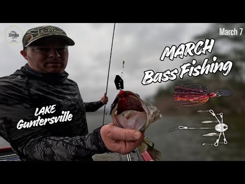Early March Bass Fishing on Lake Guntersville using an Alabama Rig and Chatterbait