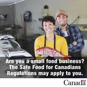 The Safe Food for Canadians Regulations are now in force, but some requirements will be phased in between now and July 2021 based on food commodity, type of activity and business size: http://ow.ly/ZEO150uYQGR | Canadian Food Inspection Agency