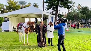 4.9K views · 266 reactions | Carson Kressley & Sea Of Cortez doing...