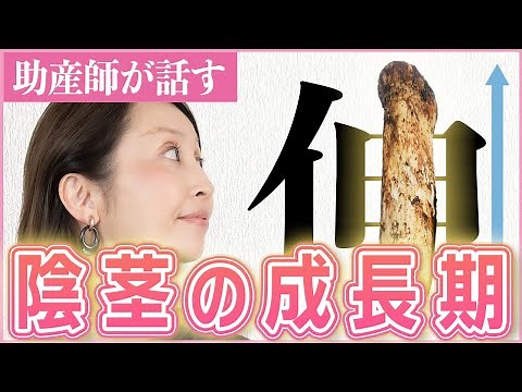 【性教育】あなたの陰茎は何センチ？まだ成長していますか？
