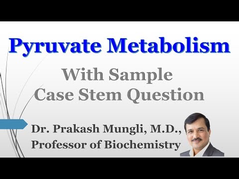 LACTURE II Pyruvate Metabolism II Pyruvate Oxidation II Lactic Acidosis ii Dr Prakash Mungli