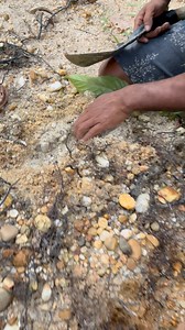 9.1K views · 107 reactions | Golden Filter Root | Yudi Putra Gold | Facebook