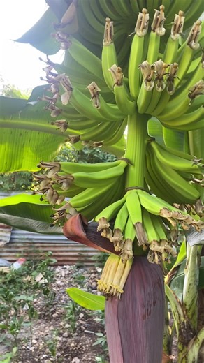 ratz (@ratz7589)’s videos with original sound - ratz