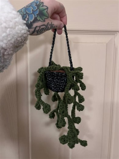 Little free hand crochet string of pearls hanging plant I whipped up this morning 🪴 #stringofpearls #crochet #crochetersoftiktok #plant #handmade