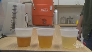 Developing Canada’s first zero-carb beer at home